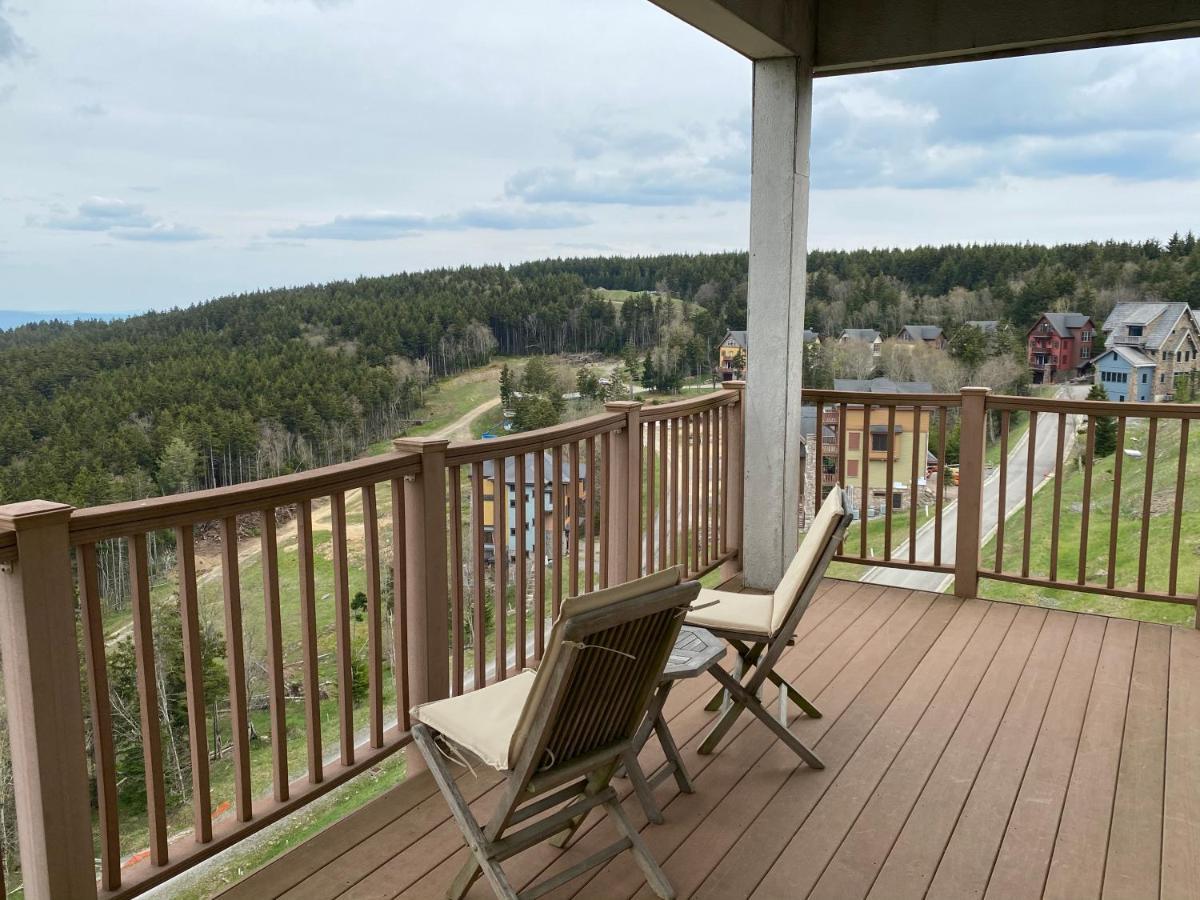 Remodeled Ski In-Out - 305 Soaring Eagle - Luxury! Dunmore Εξωτερικό φωτογραφία
